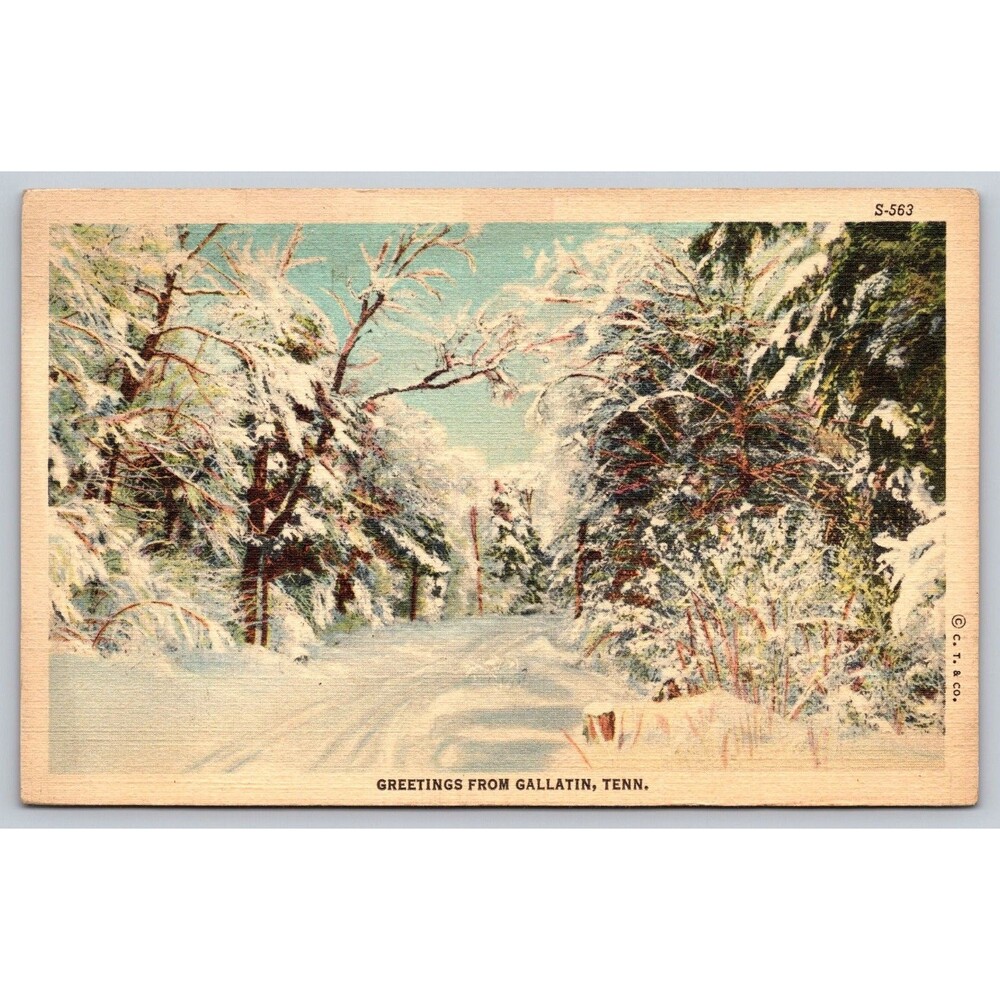 Vintage 1938 Linen Postcard Greetings From Gallatin Tennessee Winter Snow Scene